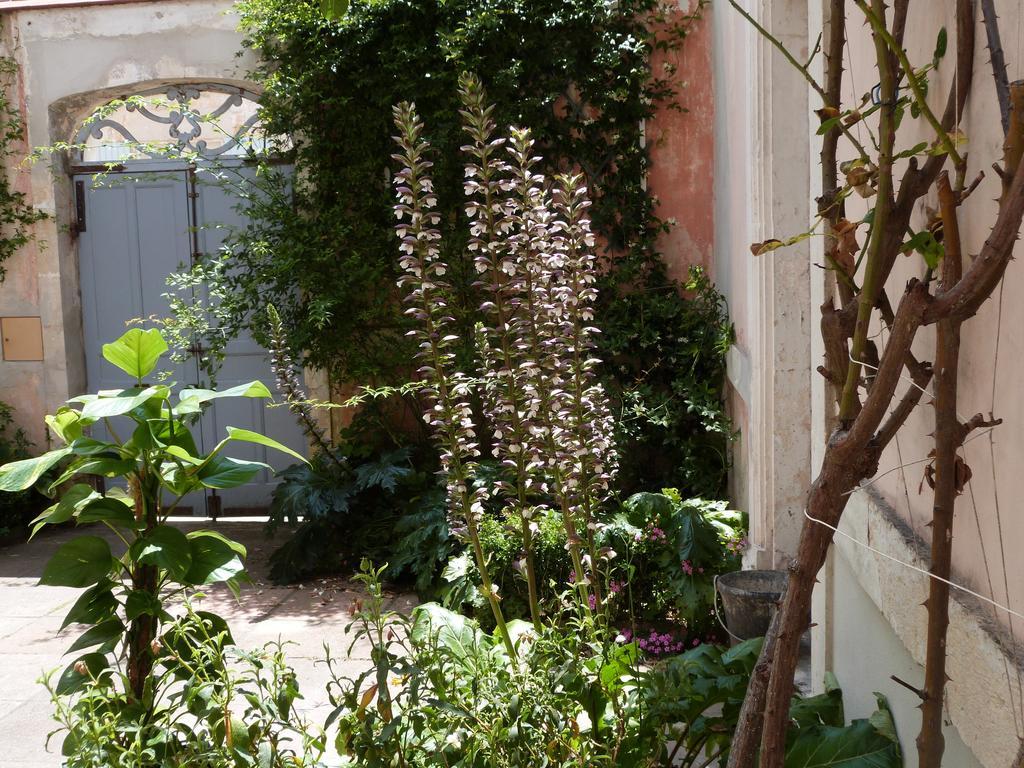Bed and Breakfast Maison Arriu Montaut  Екстер'єр фото